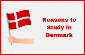 Reasons to Study in Denmark